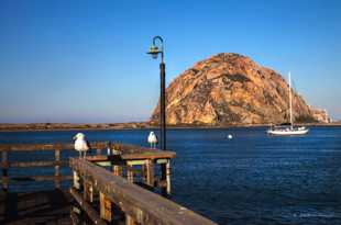 Morning on Morro Bay-0158.jpg Morning on Morro Bay-0158.jpg